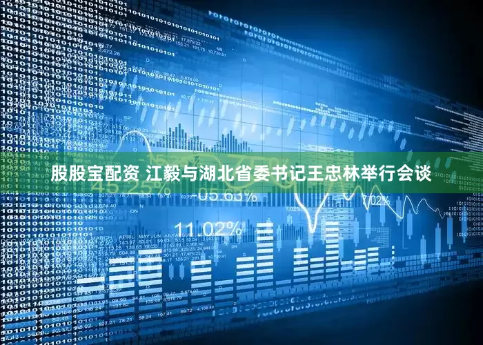 股股宝配资 江毅与湖北省委书记王忠林举行会谈